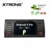 XTRONS PA7953BIP