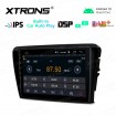 XTRONS PSP10CTS