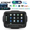XTRONS PXH94RGJLGS