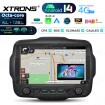 XTRONS PXH94RGJLGS